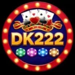 DK222 Game