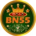 BN55 Game
